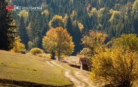 Autumn in Tara National Park