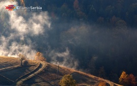Autumn in Tara National Park