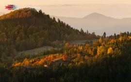 Autumn in Tara National Park