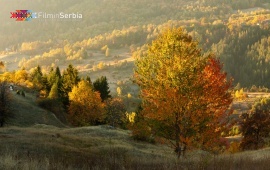 Autumn in Tara National Park