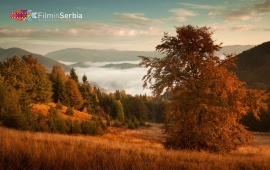 Autumn in Tara National Park