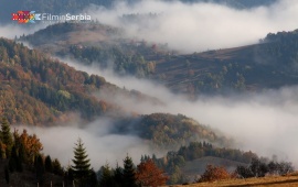 Autumn in Tara National Park