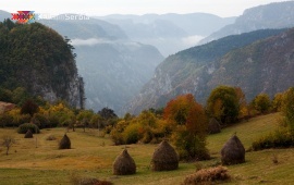 Autumn in Tara National Park