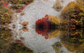 Autumn in Tara National Park