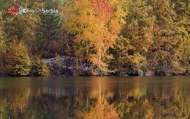 Autumn in Tara National Park