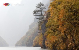 Autumn in Tara National Park