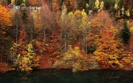 Autumn in Tara National Park