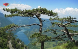 Banjska stena viewpoint