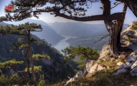 Banjska stena viewpoint