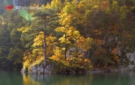 Autumn in Tara National Park