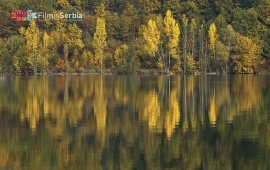 Autumn in Tara National Park