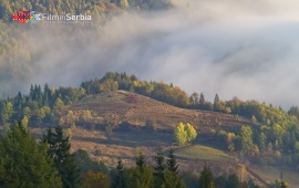 Autumn in Tara National Park