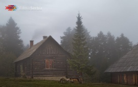 Autumn in Tara National Park
