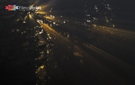 Forest in Tara National Park