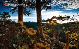 Banjska stena viewpoint