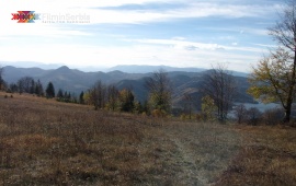Autumn in Tara National Park