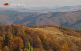 Autumn in Tara National Park