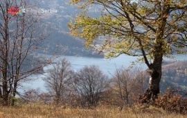 Autumn in Tara National Park