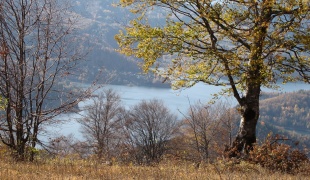 Autumn in Tara National Park