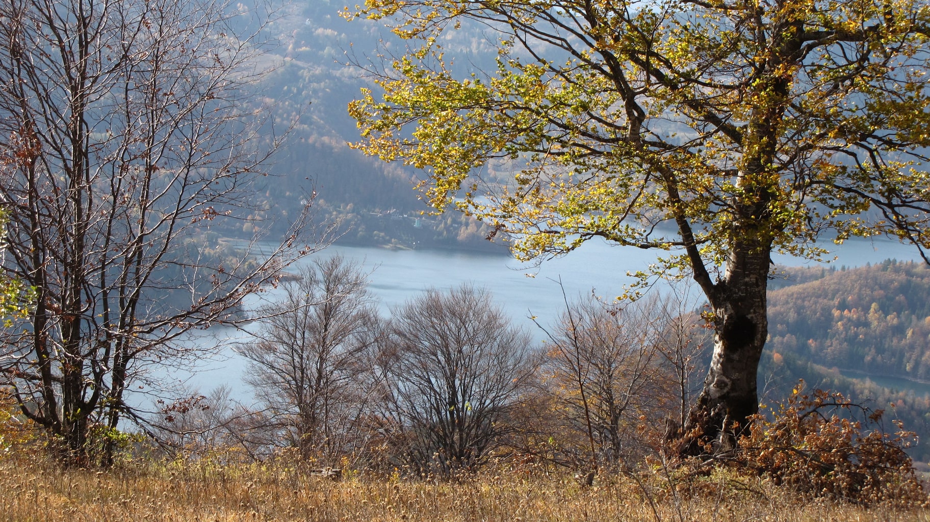 Autumn in Tara National Park