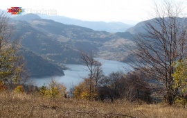 Autumn in Tara National Park