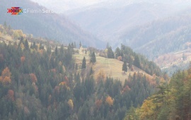 Autumn in Tara National Park
