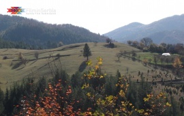 Autumn in Tara National Park