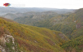 Autumn in Tara National Park