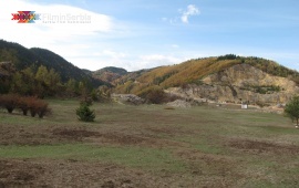 Autumn in Tara National Park