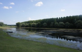 Koviljsko-petrovaradinski rit