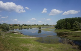 Koviljsko-petrovaradinski rit