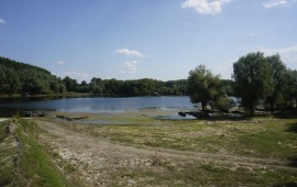 Koviljsko-petrovaradinski rit