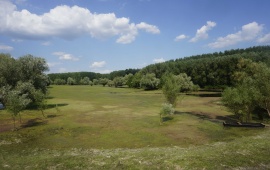 Koviljsko-petrovaradinski rit