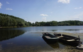 Koviljsko-petrovaradinski rit