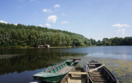 Koviljsko-petrovaradinski rit