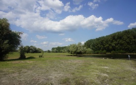 Koviljsko-petrovaradinski rit