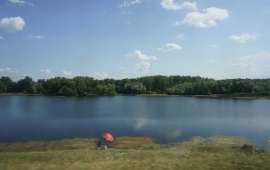 Koviljsko-petrovaradinski rit