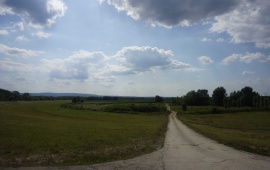 Koviljsko-petrovaradinski rit