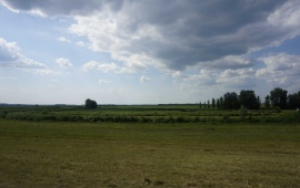 Koviljsko-petrovaradinski rit