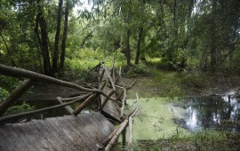 Koviljsko-petrovaradinski rit