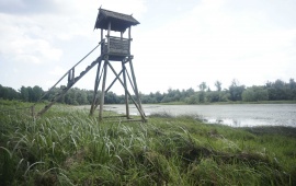 Koviljsko-petrovaradinski rit