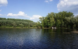 Koviljsko-petrovaradinski rit