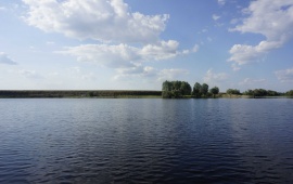 Koviljsko-petrovaradinski rit