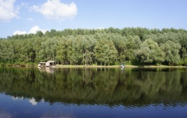 Koviljsko-petrovaradinski rit