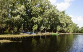 Koviljsko-petrovaradinski rit