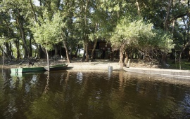 Koviljsko-petrovaradinski rit