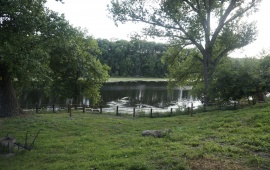 Koviljsko-petrovaradinski rit