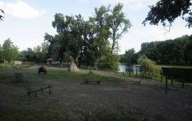 Koviljsko-petrovaradinski rit