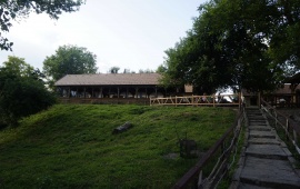 Koviljsko-petrovaradinski rit