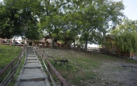 Koviljsko-petrovaradinski rit